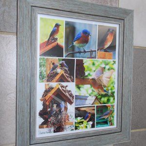 Gorgeous bird lover photo prints under glass rustic frame ready to mount!